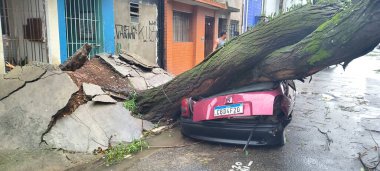 Sao Paulo (SP), Brezilya 12 / 27 / 2025 - 185 Javari Caddesi 'ndeki araçların üzerine düşen ağaç, Mooca bölgesinde meydana gelen fırtına nedeniyle 1600 Presidente Wilson Caddesi ile 600 Wilson Costa Caddesi arasında, Sao Paulo (oslaim brito / thenews2)