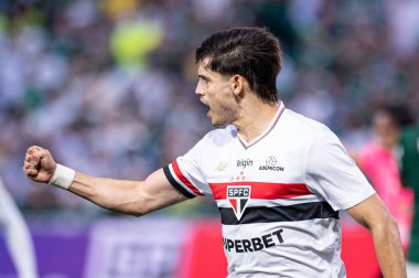 Barueri (SP), Brezilya 01 / 24 / 2026 - Damian Bobadilla, Paulista futbol şampiyonasının 5. turu için Palmeiras ve Sao Paulo arasındaki maçtaki golünü 24 Ocak 2026 gecesi kutluyor (ronaldo barreto / thenews2)