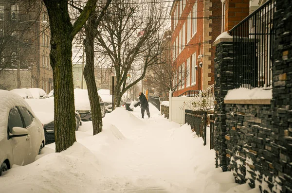 Kar Altında Sessizlik: Kış Fırtınası bastırırken Weehawken Duraklıyor. 25 Ocak 2026, New Jersey, ABD. Weehawken, New Jersey 'de sakin bir yerleşim yeri taze kar altında kaybolur (jeff rivera / the new ws2)