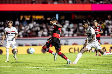 Sao Paulo, Brezilya 01 / 28 / 2026 - Brezilya futbol şampiyonasının birinci turu için geçerli olan Sao Paulo ve Flamengo maçında, 28 Ocak 2026 Çarşamba gecesi, Morumbi Stadyumu 'nda (pedro paulo diaz / thenews2)
