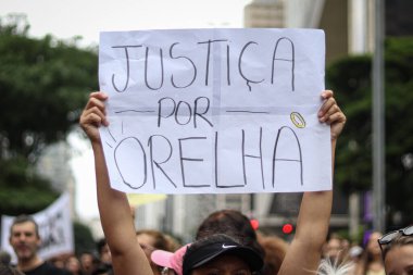 Sao Paulo (SP), Brezilya 01 / 02 / 2026 Protestocular, köpek Orelha 'nın ölümünden sonra hayvan şiddetine karşı gösteri düzenlediler. Gösteri bu Pazar sabahı MASP 'nin önünde gerçekleşti (Arthur Lamonier / theenews2)