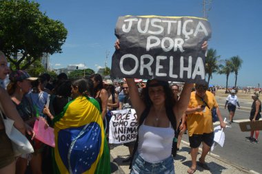 Rio de Janeiro (RJ), Brezilya 01 / 02 / 2026 - Yüzlerce gösterici köpek Kulak 'ın zalimce ölümü için adalet protestosu düzenledi. Birkaç düzine gösterici Flamengo Parkı boyunca Copacabana Sahili 'ne yürüdü (fausto maia / the new ws2)