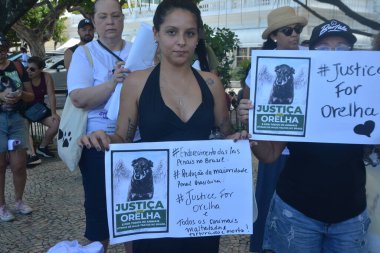 Rio de Janeiro (RJ), Brezilya 01 / 02 / 2026 - Yüzlerce gösterici köpek Kulak 'ın zalimce ölümü için adalet protestosu düzenledi. Birkaç düzine gösterici Flamengo Parkı boyunca Copacabana Sahili 'ne yürüdü (fausto maia / the new ws2)