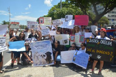 Rio de Janeiro (RJ), Brezilya 01 / 02 / 2026 - Yüzlerce gösterici köpek Kulak 'ın zalimce ölümü için adalet protestosu düzenledi. Birkaç düzine gösterici Flamengo Parkı boyunca Copacabana Sahili 'ne yürüdü (fausto maia / the new ws2)