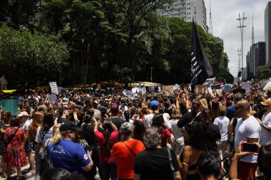 Sao Paulo (SP), Brezilya 01 / 02 / 2026 Protestocular, köpek Orelha 'nın ölümünden sonra hayvan şiddetine karşı gösteri düzenlediler. Gösteri bu Pazar sabahı MASP 'nin önünde gerçekleşti (Arthur Lamonier / theenews2)