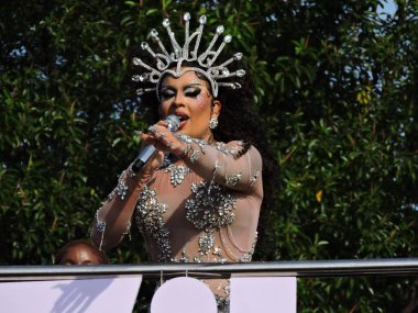 Sao Paulo (SP), Brezilya 02 / 14 / 2026 - Gloria Groove, 2026 yılında Ibirapuera 'da 10. kuruluş yıldönümünü kutlayan geleneksel LGBT blok Agrada Gregos' un geçidini sona erdirdi.)