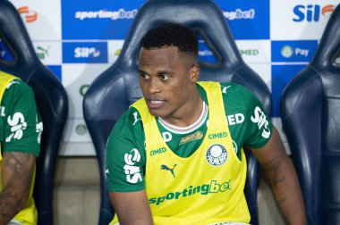 Barueri (SP), Brezilya 21 / 02 / 2026 - Palmeiras ve Capivariano arasında oynanan çeyrek final maçında, 21 Şubat 2026 Cumartesi gecesi, Arena Barueri 'de (ronaldo barreto / theenews2)