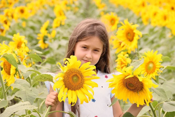 Hermosa Chica Pie Campo Con Girasoles —  Fotos de Stock