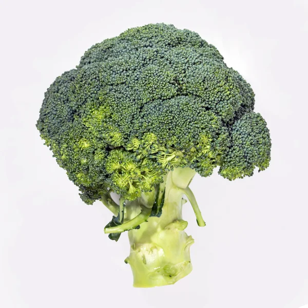 Green broccoli part — Stock Photo, Image