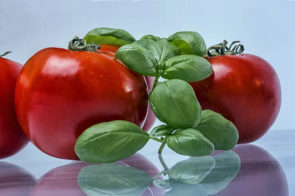 Tomatoes — Stock Photo, Image