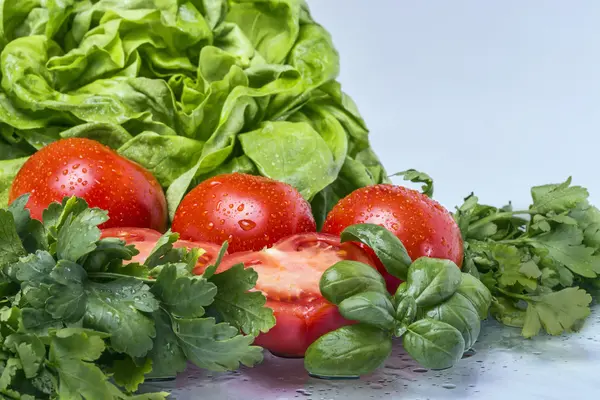 Salade de tomates fraîches — Photo