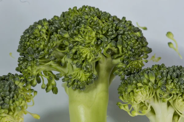 Brocoli — Photo