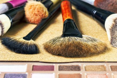 Makyaj fırçaları