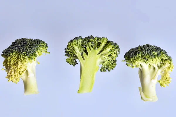 Broccoli slice — Stock Photo, Image