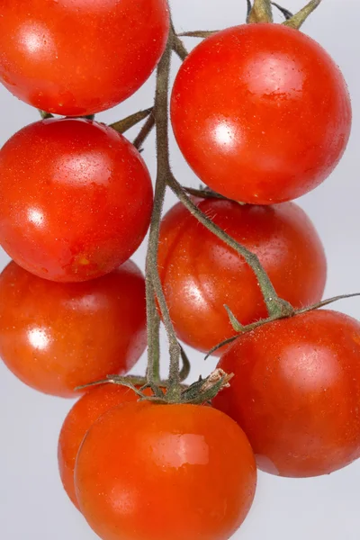 Tomates cerises gros plan — Photo
