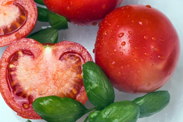 Fresh tomato and basil — Stock Photo, Image