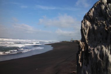 YOGYAKARTA, INDONEZYA - 13 Eylül 2016: Java, Endonezya 'nın güney kıyısında çürüyen odun
