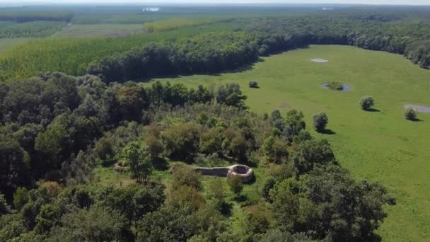 Drone Disparo Una Antigua Fortaleza Medieval Ruinas Bosque — Vídeo de stock