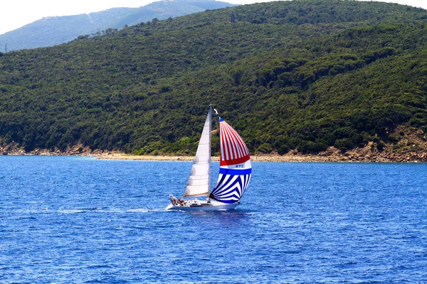 Colores a lo largo del mar — Foto de Stock