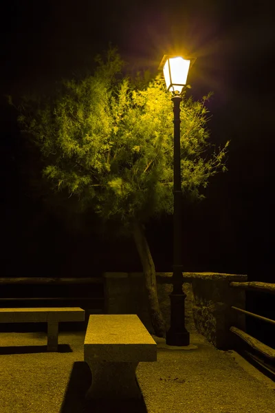 Farola que ilumina el árbol y el banco — Foto de Stock