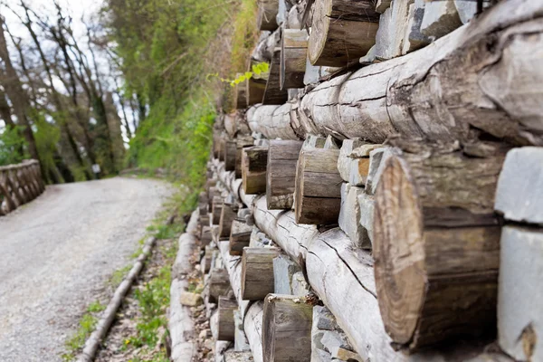 Perspektif bir duvar