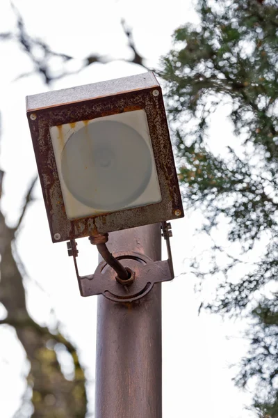 Point light in the trees — Stock Photo, Image