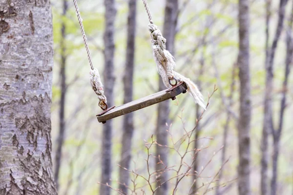 Old swing in the woods — Stock Photo, Image
