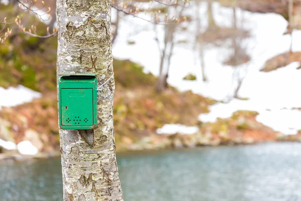 The old green mailbox — Stock Photo, Image