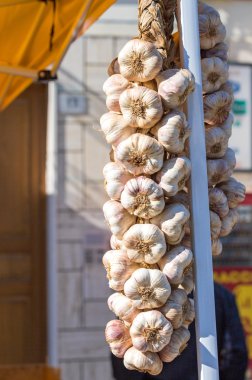 gün ışığında banyo sarımsak