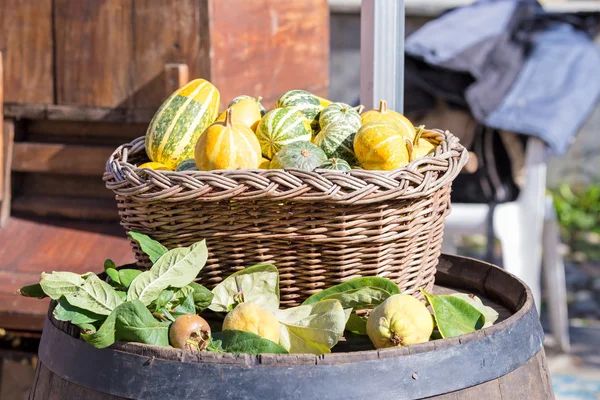 varil üzerinde renkli sebze