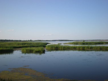 Doğa güzelliğinde, göl kenarında yaz günü, doğanın sessizliği ve zihnin huzuruyla