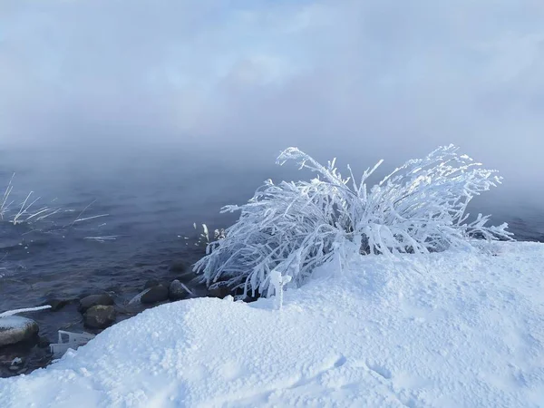 winter fairy tale in the 2022 code, next to the lake was covered and whitened, the frost brought beauty to nature