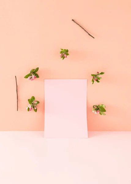 Espacio Copia Creativo Hecho Con Papel Blanco Rosa Brillante Flores — Foto de Stock