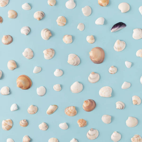 Pattern Made Seashells Bright Blue Background Minimal Summer Concept Creative — Stock Photo, Image