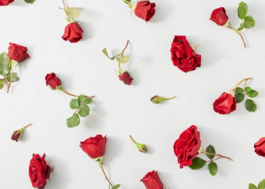 Parlak gri arka planda yaprakları olan kırmızı gül çiçeklerinden oluşan çiçek deseni. Asgari doğa konsepti. Düz yatıyordu.