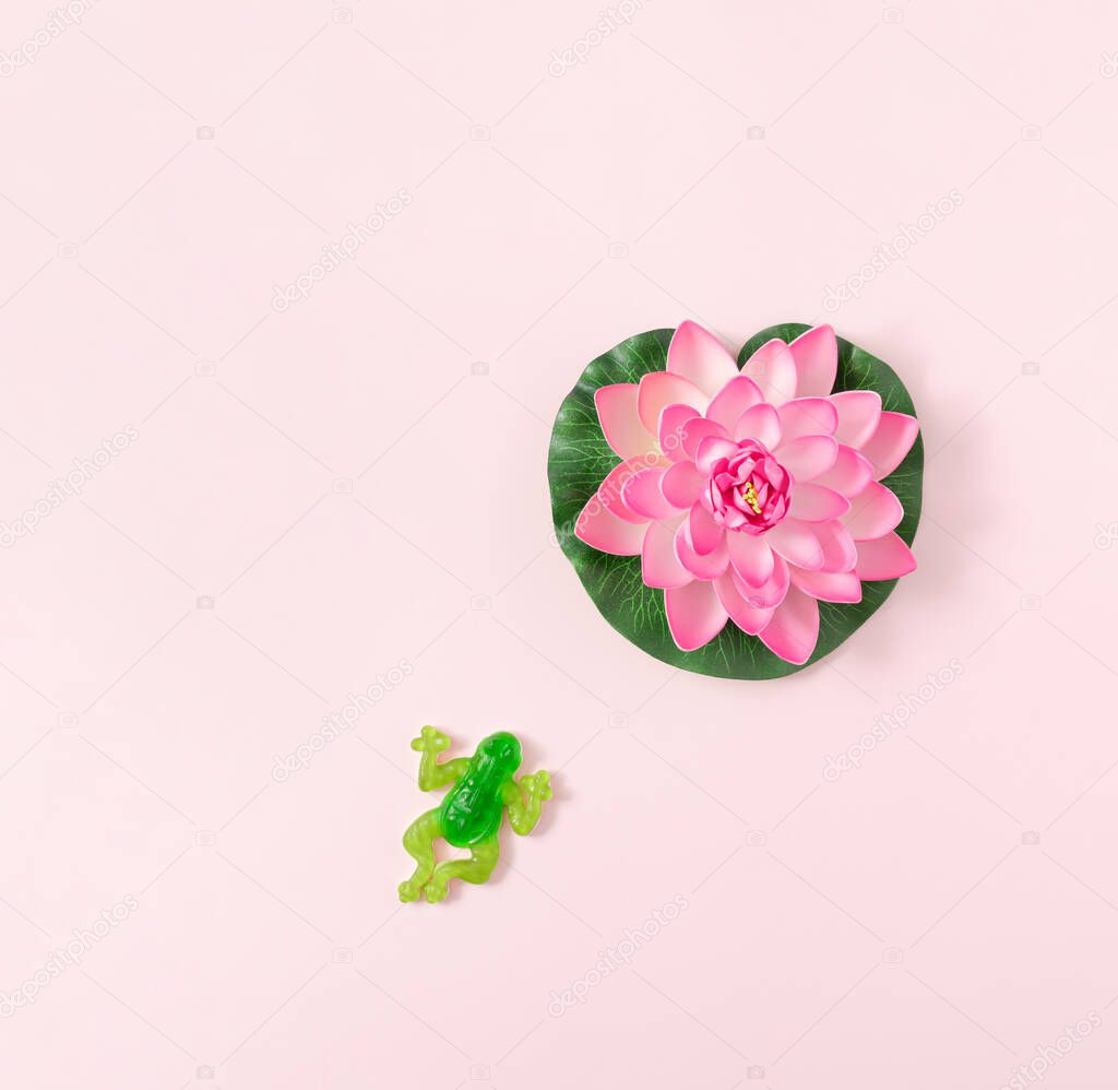 Minimal layout made with pink lotus flower and green frog. Creative nature flat lay concept. Pastel pink background idea.