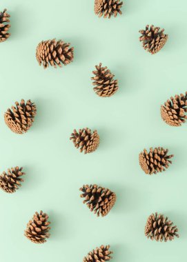 Parlak yeşil arka planda çam kozalağı deseni. Minimum sonbahar doğa düzenlemesi. Tatil sezonu fikri. Düz yatıyordu.