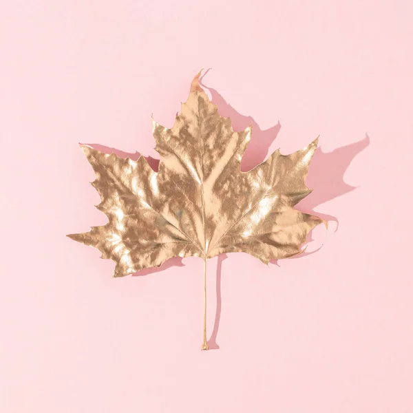 Golden Maple Leaf Sunny Day Shadow Pastel Pink Background Minimal — Foto de Stock