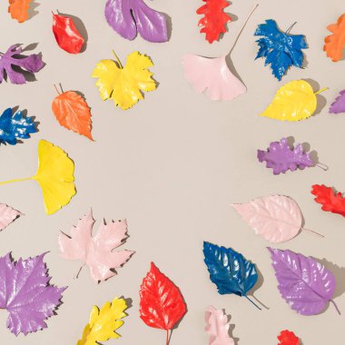 Renkli çeşitli yapraklardan oluşan yaratıcı bir düzen parlak bej arka planda güneşli gün gölgeleri. Kopya alanı ile en az sonbahar doğası kavramı. Sınır düzenlemesi.