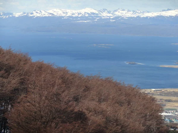 Ushuaian Landscape Argentina — 图库照片