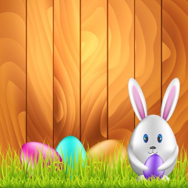 Paskalya tavşanı ve bahar medow üzerinde renkli yumurta