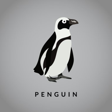 Penguen vektör çizim