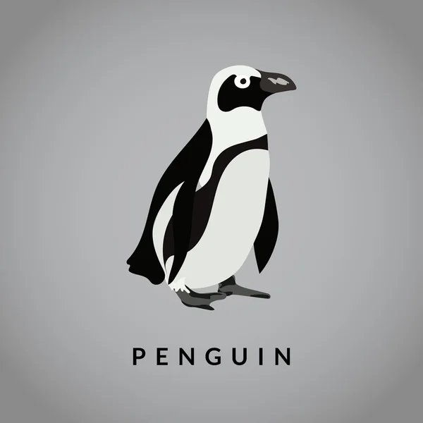 Ilustração do vetor pinguim — Vetor de Stock