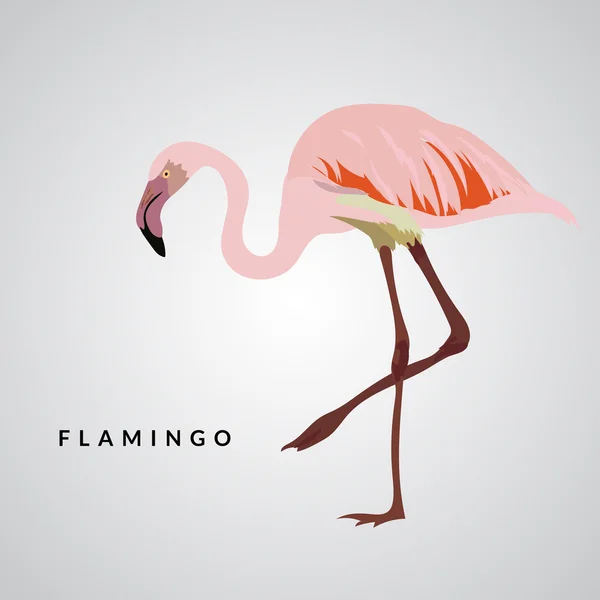 Ilustração vetorial Flamingo — Vetor de Stock