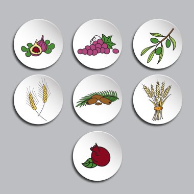 Yedi tür Icons set
