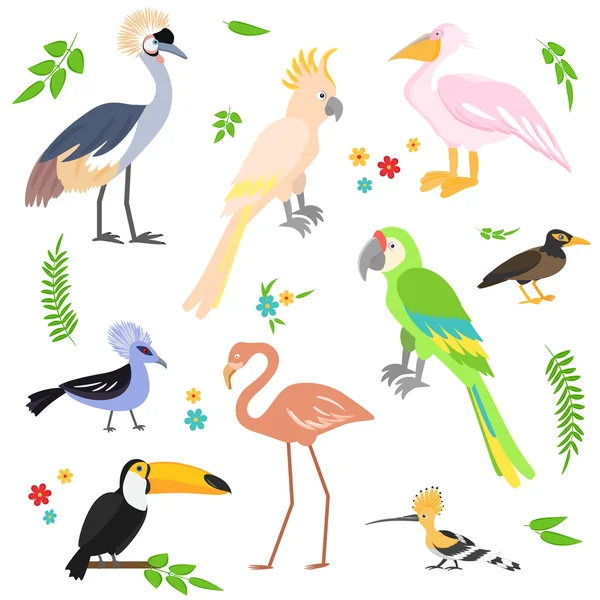 Iconos coloridos pájaros. Colección de aves tropicales . — Archivo Imágenes Vectoriales