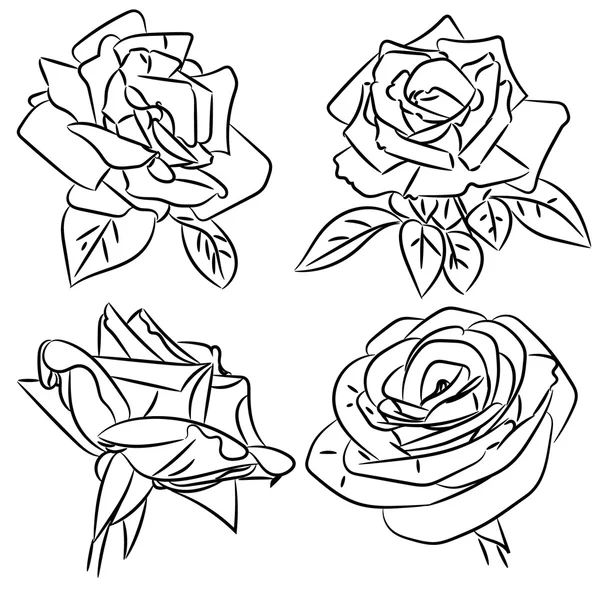 Zwarte en witte rozen schetsen — Stockvector