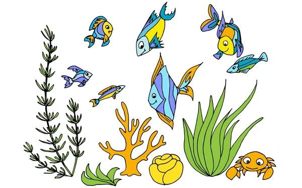 Conjunto de diseño dibujado a mano de peces tropicales . — Archivo Imágenes Vectoriales