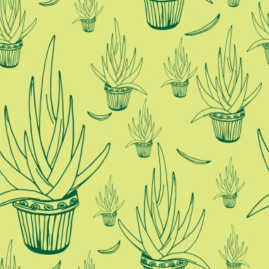 Aloe seamless modeli, çizilmiş tasarım öğeleri.