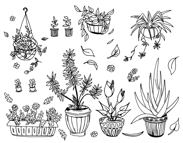 Pot plants set, hand-drawn design elements. — Stock Vector